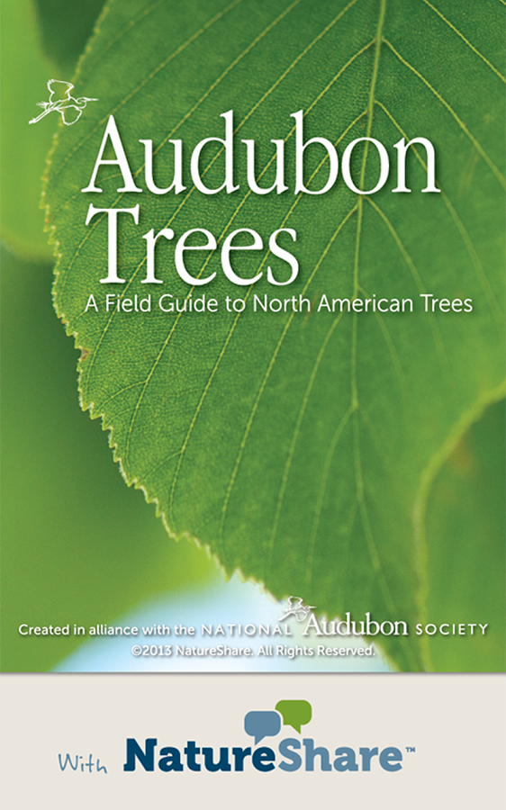 Audubon Trees