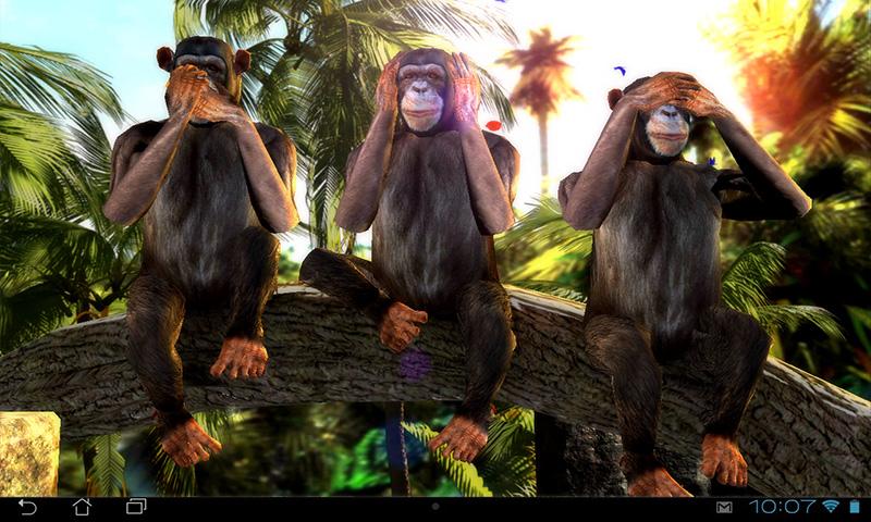 Three Wise Monkeys 3D