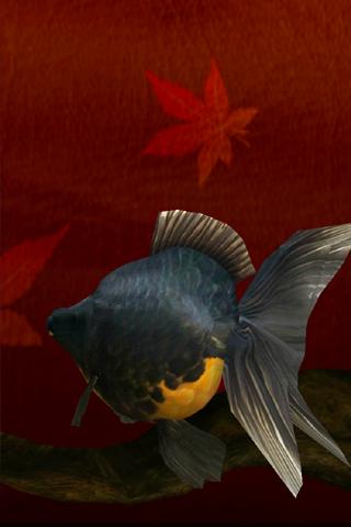 Gold Fish 3D Live Wallpaper