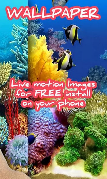 Touch the Fish Live Wallpaper